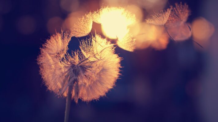 Timothy eberly Osy2z7 Ed91 E unsplash