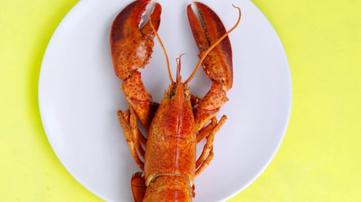 Toa heftiba Ye OM Rwgv Pv4 unsplash