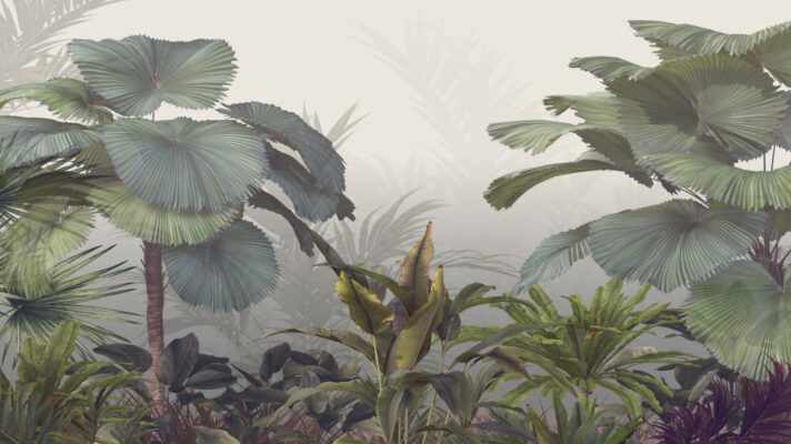 Tropische jungle mistig