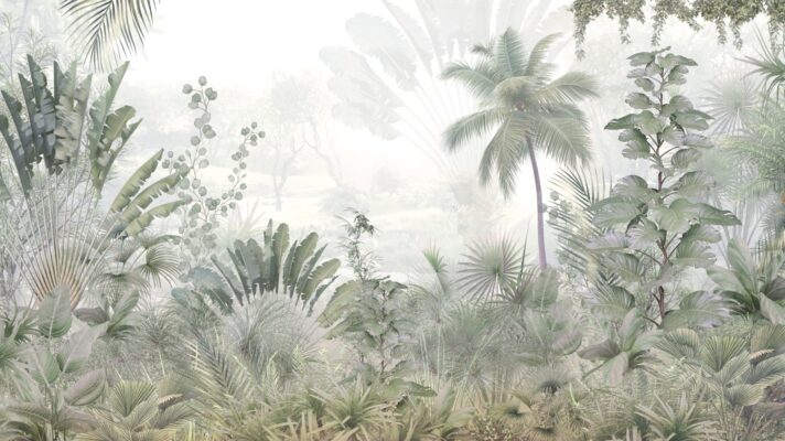 Tropische mistige jungle