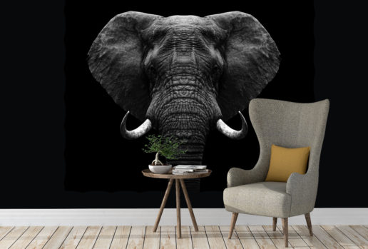 Black elephant 2